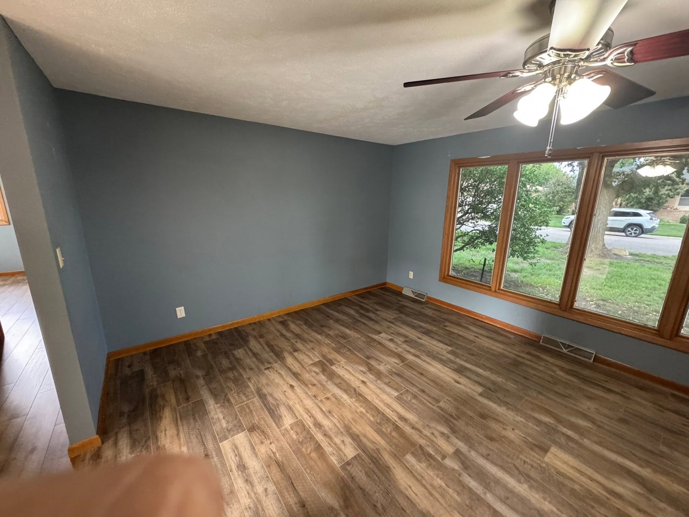 Living room painted slate blue